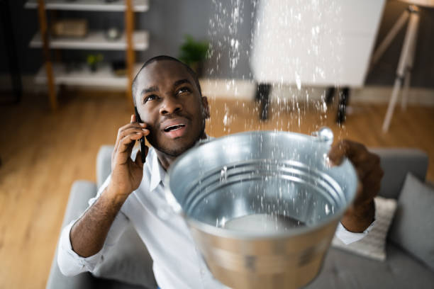 Best Ceiling water damage repair  in Edwardsville, KS