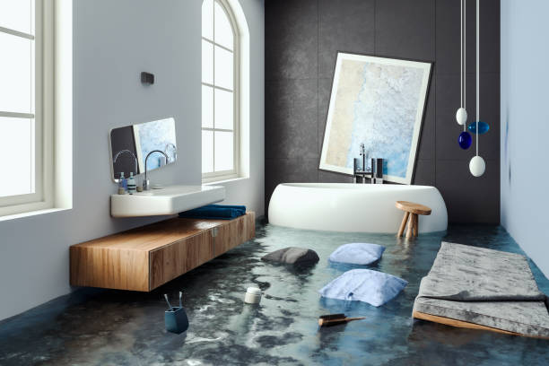 Best Emergency water damage restoration  in Edwardsville, KS