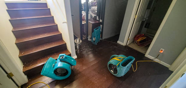 Best Commercial water damage restoration  in Edwardsville, KS