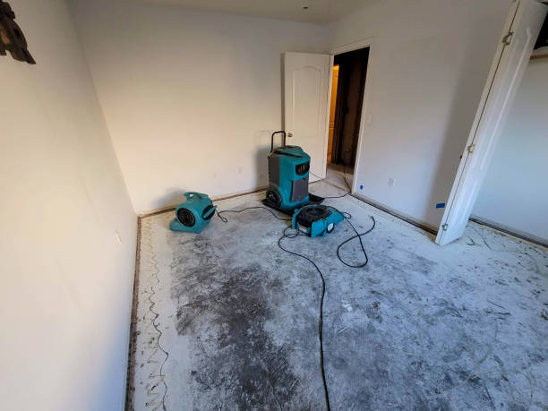 Best Carpet water damage restoration  in Edwardsville, KS
