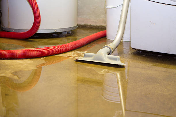 Best 24/7 water damage repair  in Edwardsville, KS