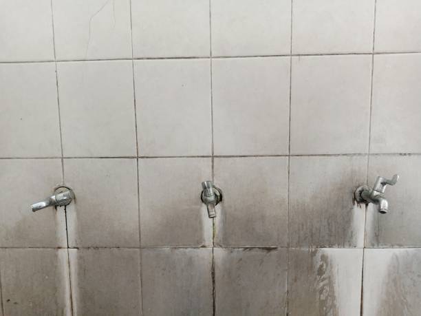 Best Sewage cleanup and water damage restoration  in Edwardsville, KS