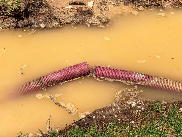  Edwardsville, KS Water damage restoration Pros